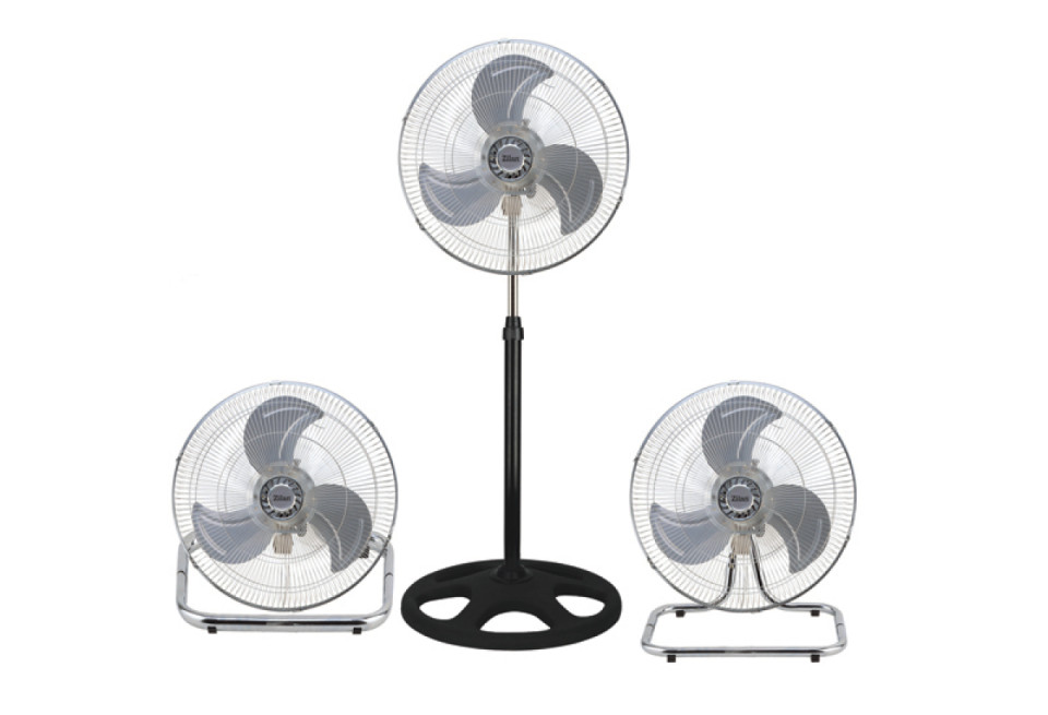 Fan