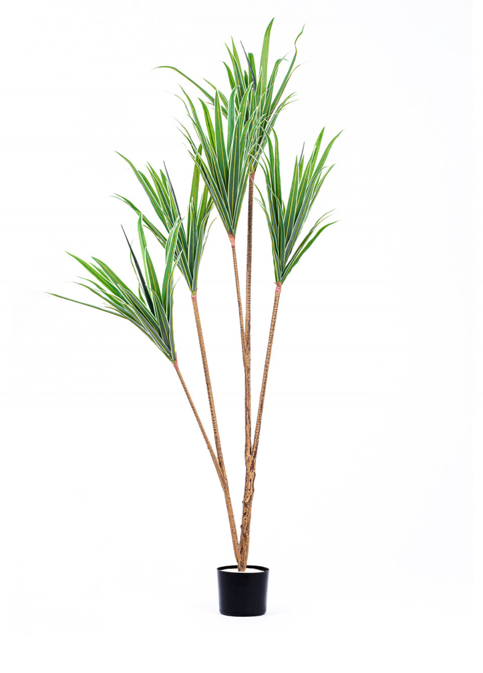 Yapay Dracaena Ağacı 3 Dallı 180 cm