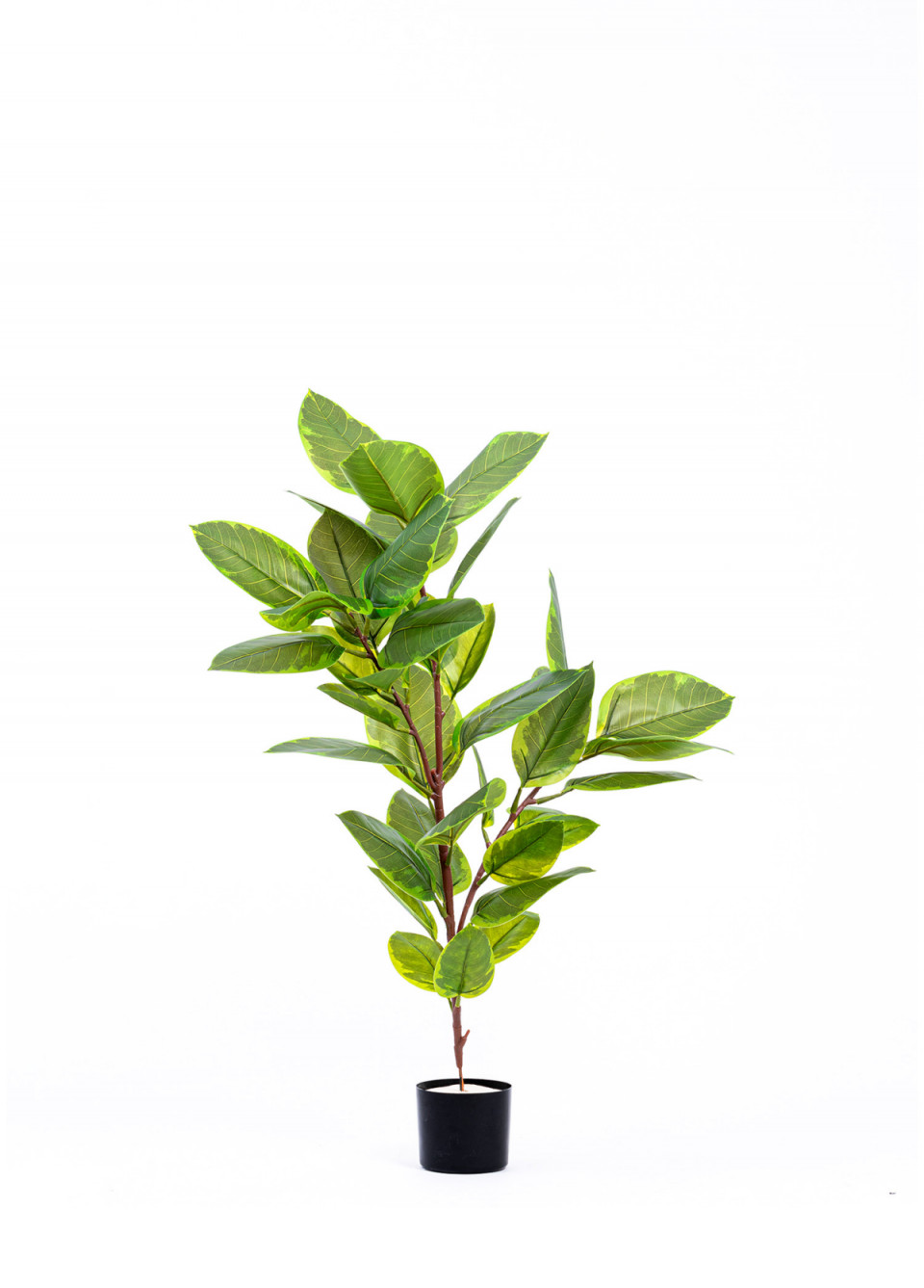 Yapay Ficus Altissima Ağacı Yeşil 120 cm