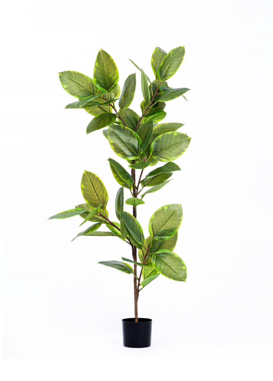 Yapay Ficus Altissima Ağacı Yeşil 170 cm