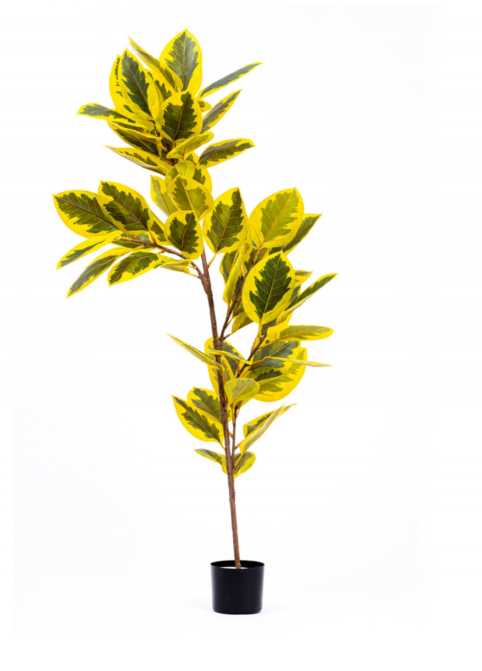 Yapay Ficus Altissima Ağacı Sarı Yeşil 170 cm