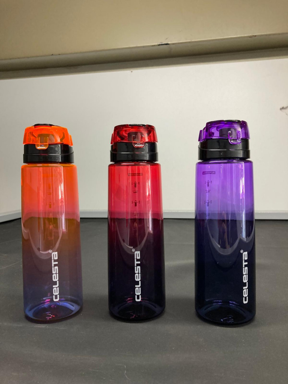 DOUBLE COLORED WATER BOTTLE